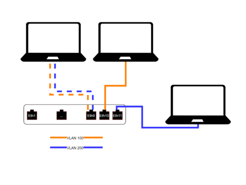 VLAN 100, 200 as tagged and untagged