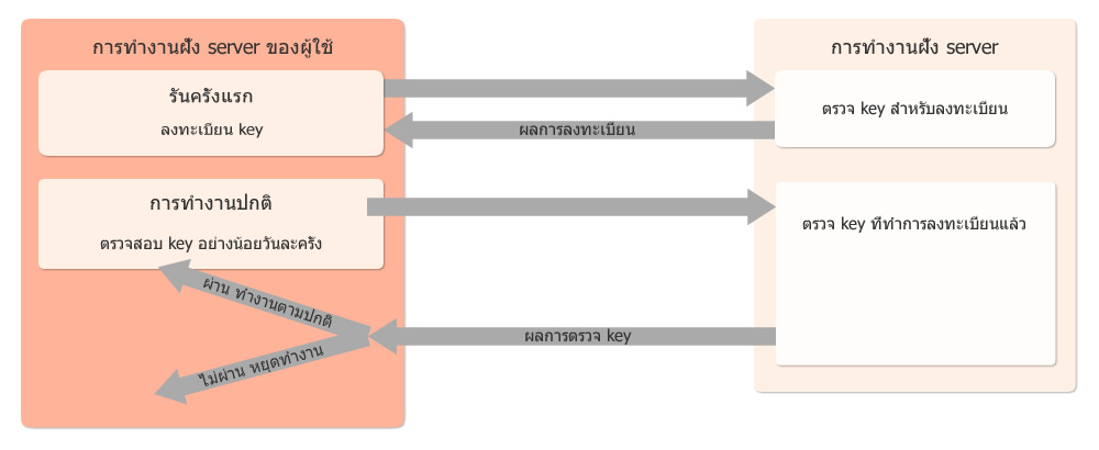protect source code register code
